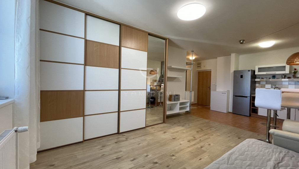 Útulný 1 izbový byt Pri Bielom  Kríži, VINOHRADY