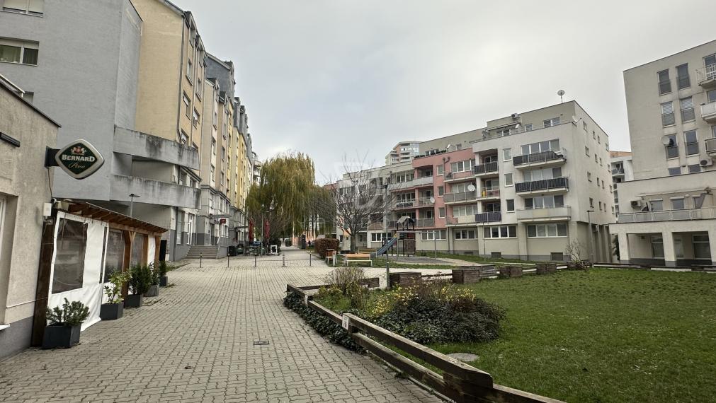 KRESANKOVA|4i byt 141m2 s garážovým státim, Karlova Ves