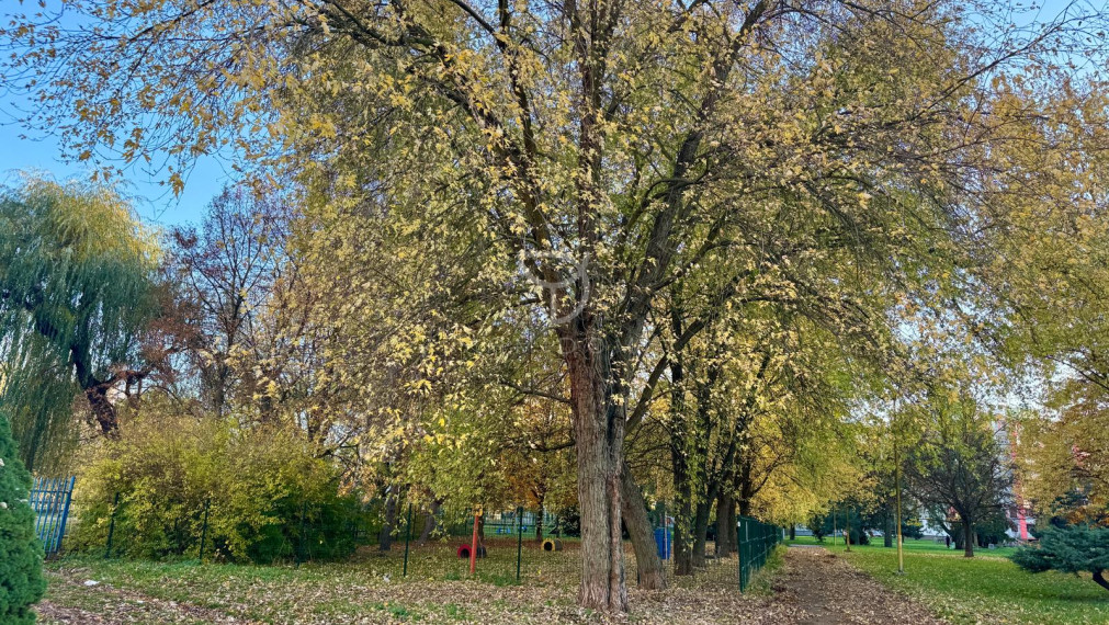 R E Z E R V O V A N É | 1 izbový byt 41m²  s 2 lodžiami | K O Š I C E