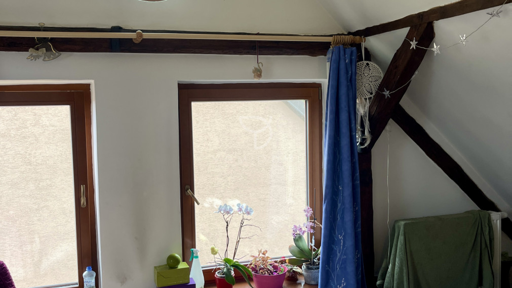 M A L É  L E V Á R E   |  5i RD s hosťovským apartmánom a veľkým pozemkom