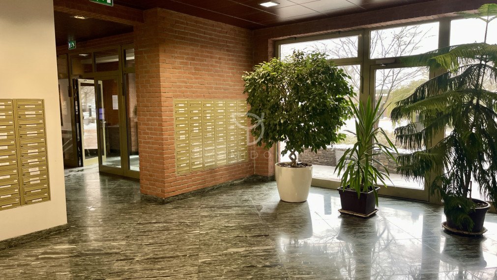 B O S Á K O V A  |  3 izbový byt 69 m² +  3 balkóny 9 m²  | BAV - Petržalka