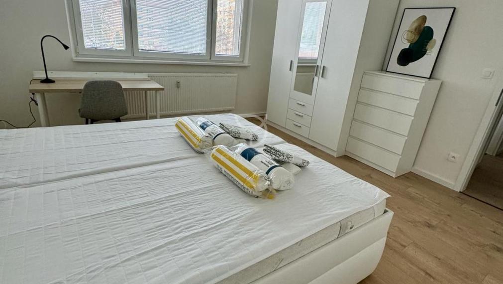 H O L Í Č S K A  | priestranná samostatná izba na prenájom | BAV - Petržalka