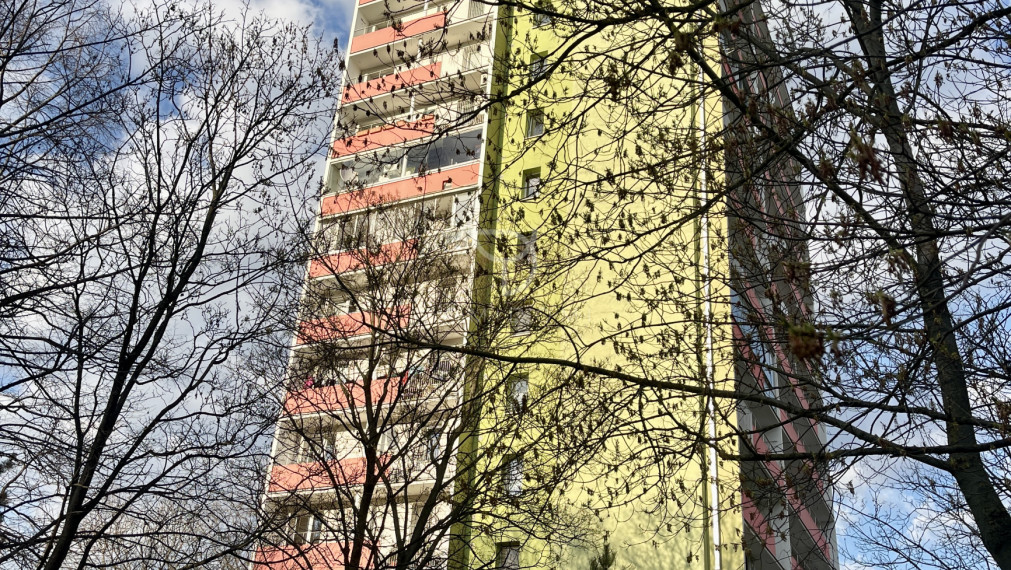 S E G N E R O V A |  2 izbový byt 49m² + balkón 7m² + pivnica  | BAIV - Karlova Ves