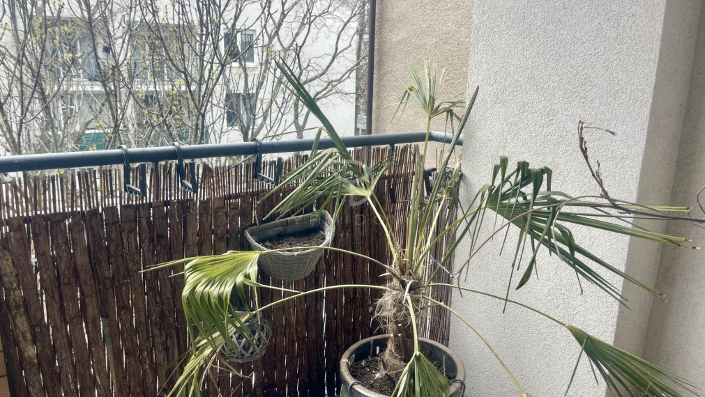 K V A Č A L O V A  |  2i byt 57m² s lodžiou a francúzskym balkónom  | BAII - Ružinov