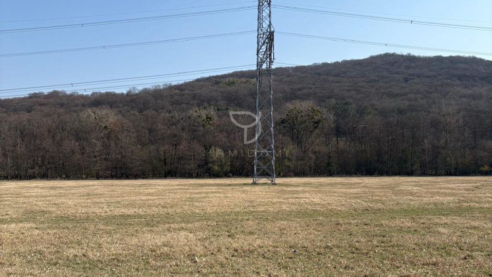 Borinka| orná pôda 1277m2,investičná príležitosť