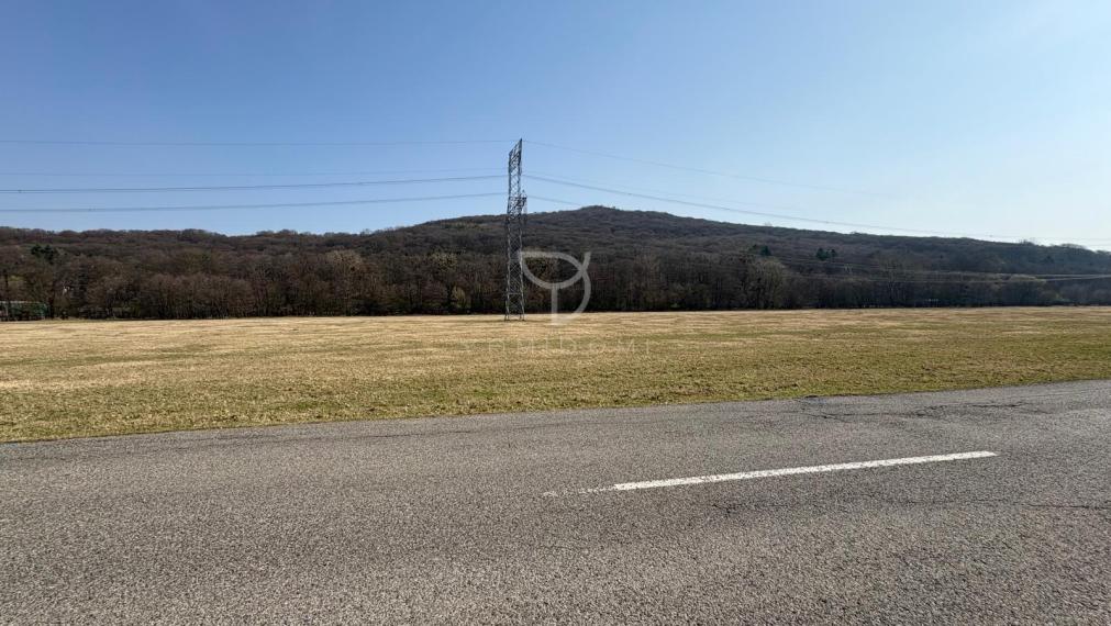 Borinka| orná pôda 1277m2,investičná príležitosť