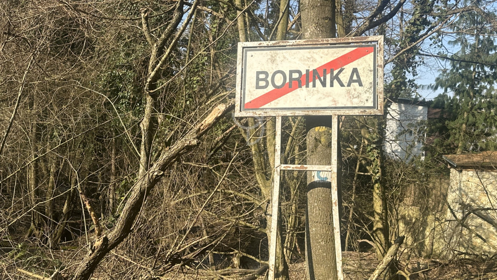BORINKA| pozemok -trvalý trávnatý porast 4658m2