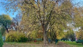 R O V N Í K O V A | 1 izbový byt 41m²  s 2 lodžiami | K O Š I C E