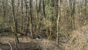 BORINKA| pozemok -trvalý trávnatý porast 4658m2