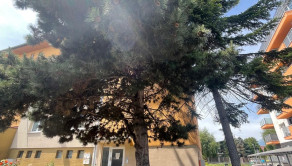 P O P R A D |  2 izbový byt s balkónom s výhľadom na Vysoké Tatry