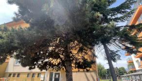 2-izbový byt s balkónom s výhľadom na Vysoké Tatry |  POPRAD