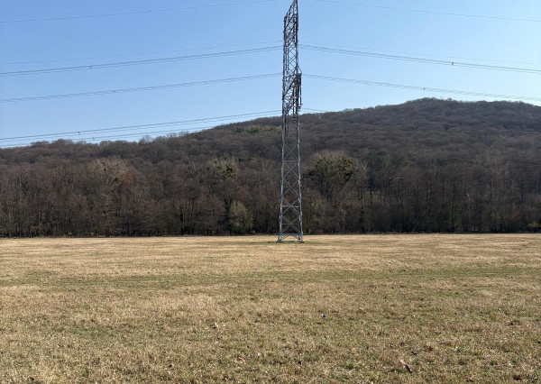 Borinka| orná pôda 1277m2,investičná príležitosť