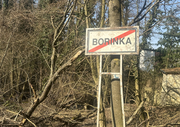 BORINKA| pozemok -trvalý trávnatý porast 4658m2